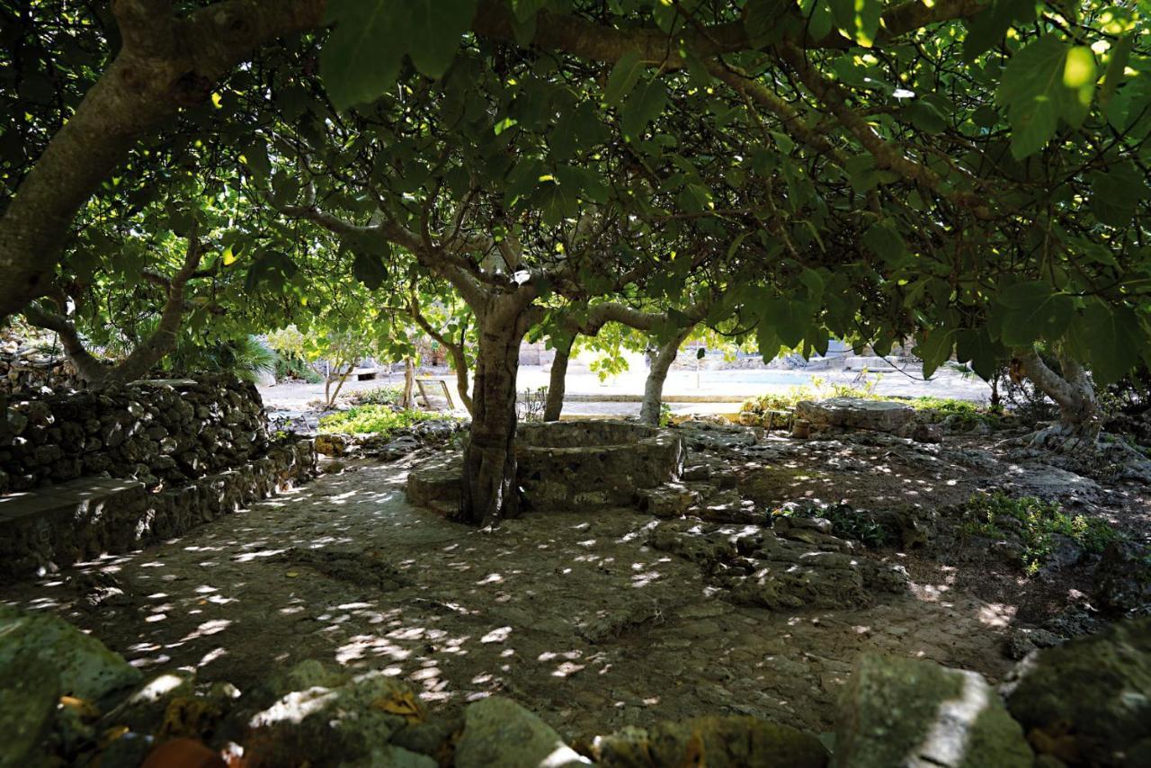 Masseria Li Reni Manduria Exteriér fotografie